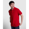 CENTAURO PREMIUM ROLY