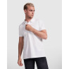 PRINCE ROLY
