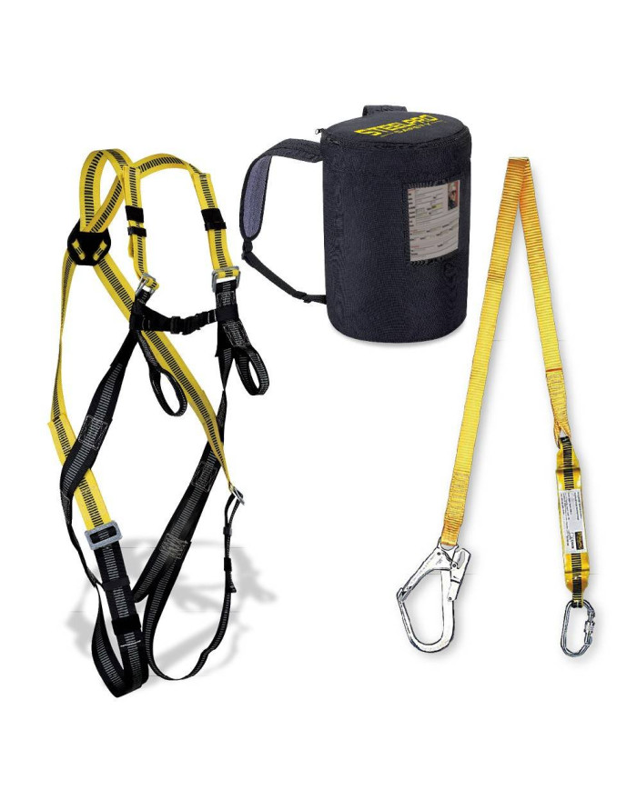1888ABFSIN + 1888ACGSIN + 1888BAGSIN STEELPRO