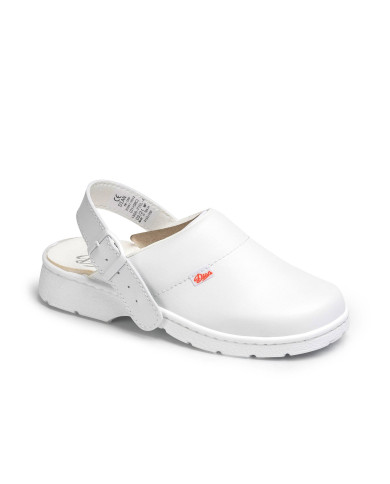 1805 PIEL A DIAN
