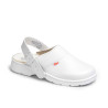 1805 PIEL A DIAN