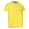 Camiseta infantil M/C DINO negro