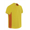 Camiseta técnica MARATHONER gris humo-negro