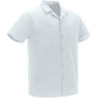 Camisa M/C WHELL negro
