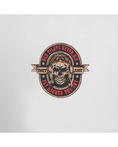 ESCUDO PILOTS GARYS