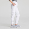 THEORY JOGGER BY BARCO GARYS
