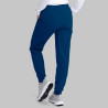 THEORY JOGGER BY BARCO GARYS