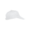 Texas Cap NEW WAVE