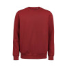 UM Crewneck (OCS-RCS)  Regular Fit Unisex NEW WAVE