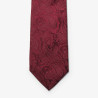 Giftbox Solid Paisley Tie NEW WAVE