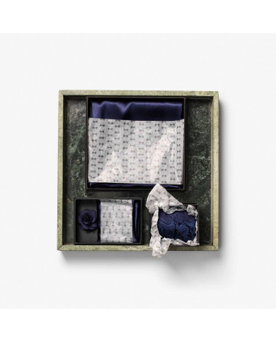 Giftbox Solid Paisley Tie NEW WAVE