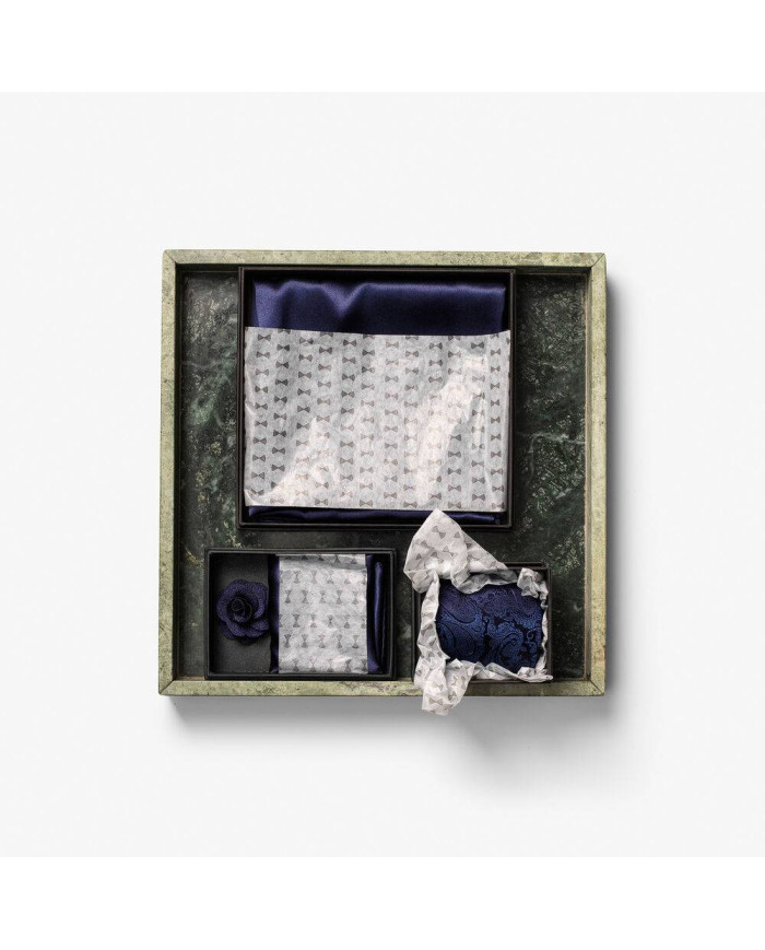 Giftbox Solid Paisley Tie NEW WAVE