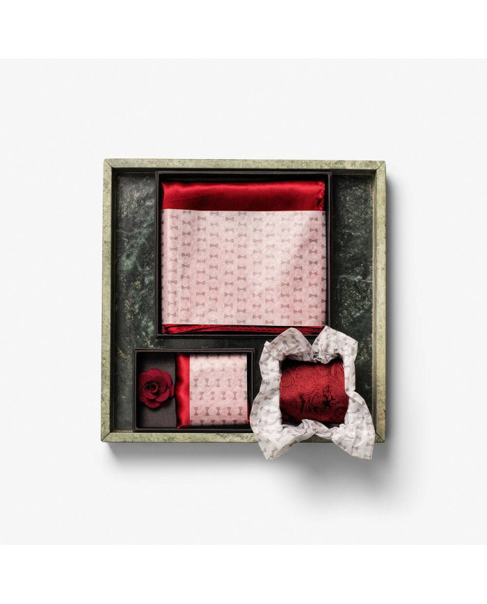 Giftbox Solid Paisley Tie NEW WAVE